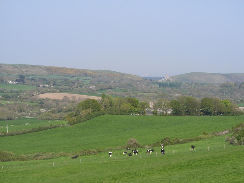 Bradle Farmhouse คอร์ฟคาสเซิล ภายนอก รูปภาพ